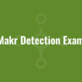 CubMakr Detection Examples