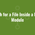 Search for a File Inside a Merge Module