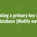 Updating a primary key in an MSI database (Modify method)