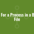 Wait For a Process in a Batch File