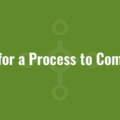 Wait for a Process to Complete