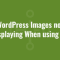 WordPress Images not Displaying When using IIS